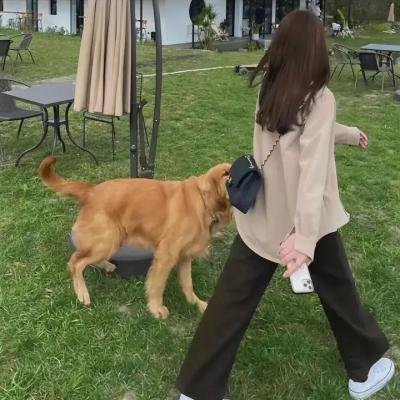 女人街一族的阴谋